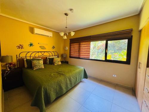 Un dormitorio con una cama verde y una ventana. en Essenz Bahía, en El Níspero