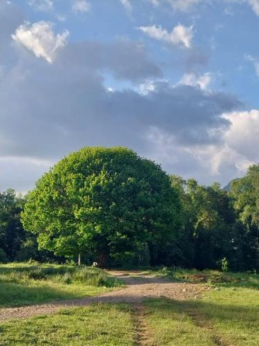 Fotografie z fotogalerie ubytování Domos Glamping Killahue v destinaci Atacalco