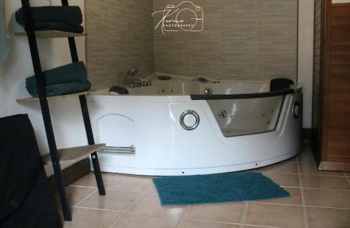 Koupelna v ubytování Gîte l'étable détente SALLE SPA EN SUPPLEMENT