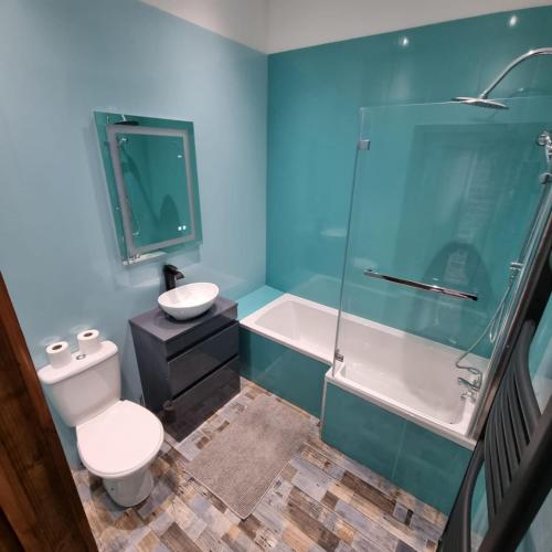 a bathroom with a toilet and a shower and a sink at Two Bedroomed Loft Apartment - The Old Drill Hall Ryde in Ryde