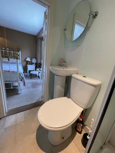 a bathroom with a toilet and a sink and a mirror at The Bridge Street Historic Guest House in Sudbury