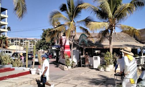 Huéspedes de Cabo bay