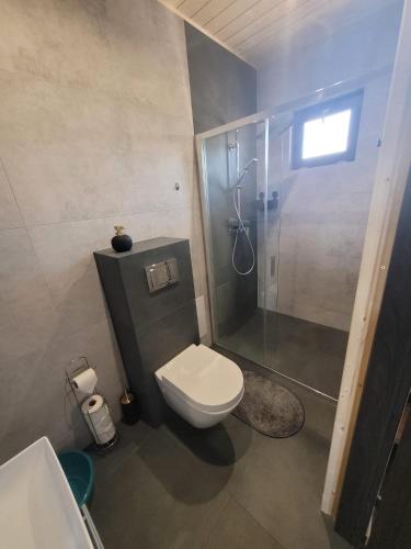 a bathroom with a toilet and a shower and a sink at Jodłowy domek na Roztoczu in Obrocz