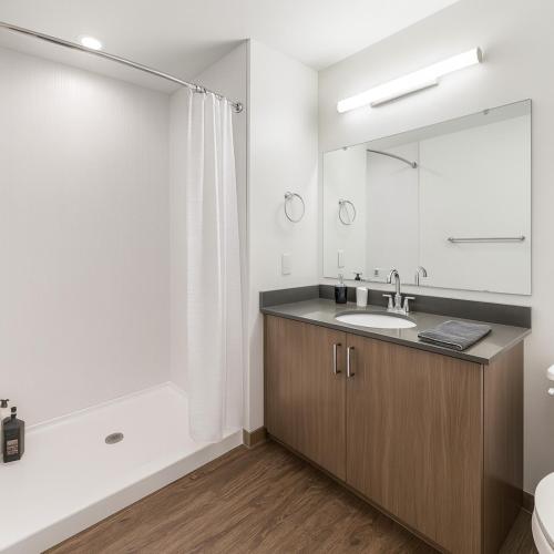 a bathroom with a sink and a large mirror at City Escape 2BR Apt with Resort Amenities in Birmingham