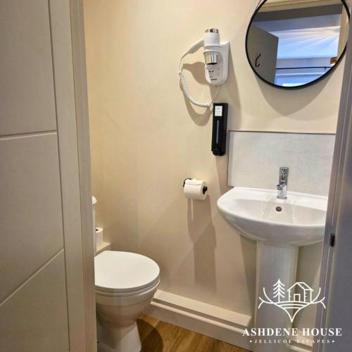 a bathroom with a toilet and a mirror and a sink at The Noble Stag - Room 3 - New Forest in Dibden