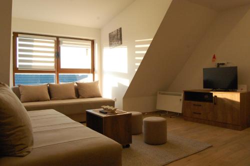 a living room with a couch and a tv at Snow Hill Kopaonik in Zrenjanin