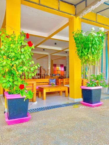 two potted plants and benches in a room with yellow walls at La Brise de Ngaparou in Ngaparou