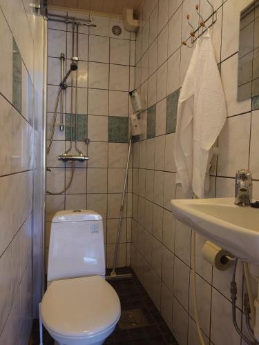 a bathroom with a toilet and a sink at Vista in Vaasa