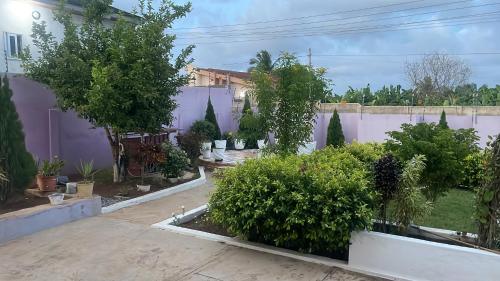 a garden with trees and bushes in a yard at West link guest house in Gbawe