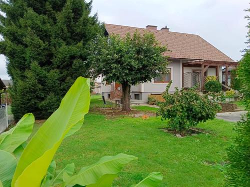 a house with a green yard with a tree at Ferienwohnungen Birgit in Leibnitz