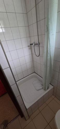 a bathroom with a shower with a shower curtain at Résidence des Touristes in Pierrefitte-Nestalas