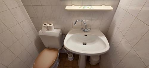 a small bathroom with a sink and a toilet at Résidence des Touristes in Pierrefitte-Nestalas