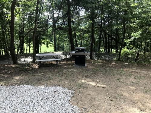 a picnic table and a bench in a park at A Truly Glamping Experience in this Beautiful Tent in Victor, West Virginia in Victor