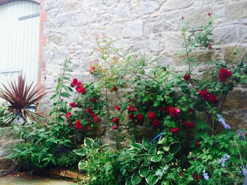Jardín al aire libre en Cavan House