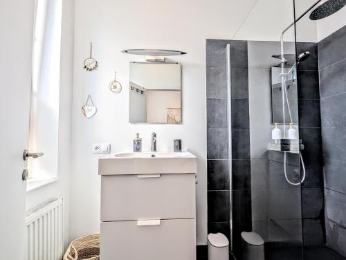a bathroom with a sink and a shower at Casa Lairesse in Liège
