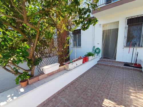 a porch of a house with a tree at La Villetta di Odisseo in Terracina