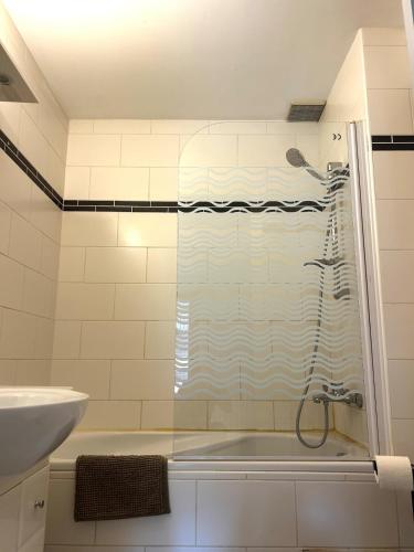 a bathroom with a shower and a sink at Petit Patapon - T2 Hyper Centre in Albi
