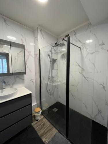 a bathroom with a shower and a sink at UNESCO Le Havre Appartement 100m2 in Le Havre