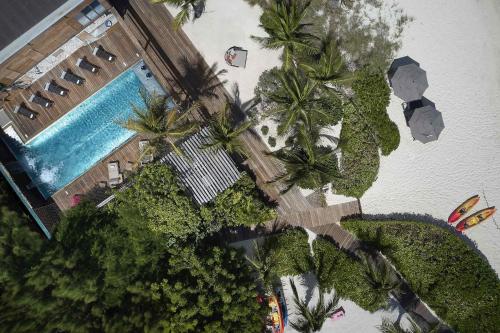 an overhead view of a swimming pool with palm trees at Spectacular spacious 8 bedroom family villa in Providenciales