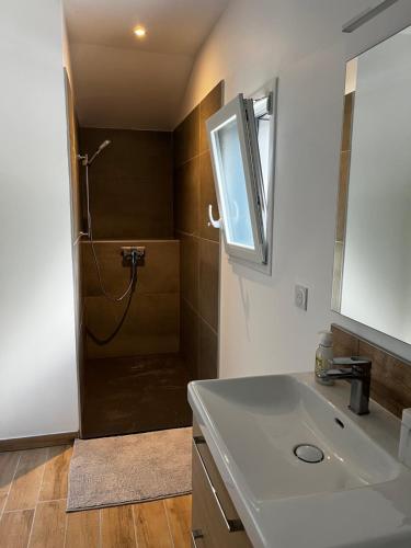 a bathroom with a shower with a sink and a sink at Maison 80 m2 à 5mn de Nantes in Sautron