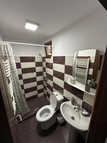 クルツィショアラにあるCasa Tradițională Cârtisoaraの白いトイレと洗面台のあるバスルーム