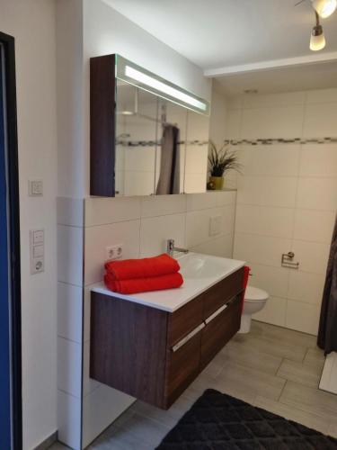 a bathroom with a sink and a mirror at HO home in Ochsenhausen
