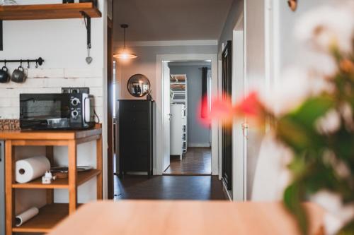 Кухня или мини-кухня в Usti Downtown Horovka Apartment
