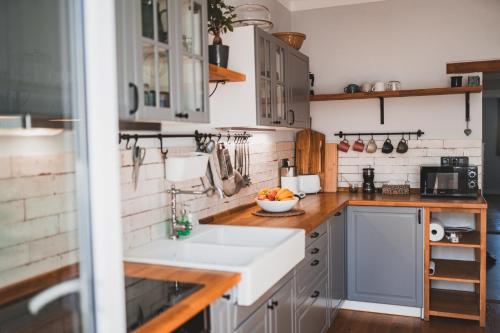Кухня или мини-кухня в Usti Downtown Horovka Apartment
