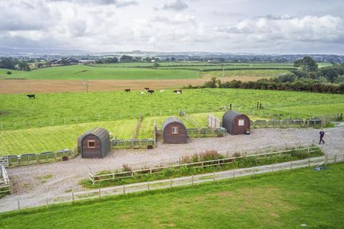 Un grupo de pequeños edificios en un campo con caballos. en Unit 2 - Carrock View Camping Pod, en Carlisle
