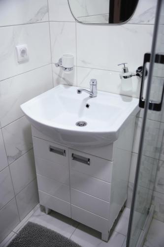 a bathroom with a white sink and a mirror at Rivera Raška 