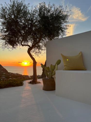 a tree on a white wall with a sunset in the background at Villa INARIME in Ischia