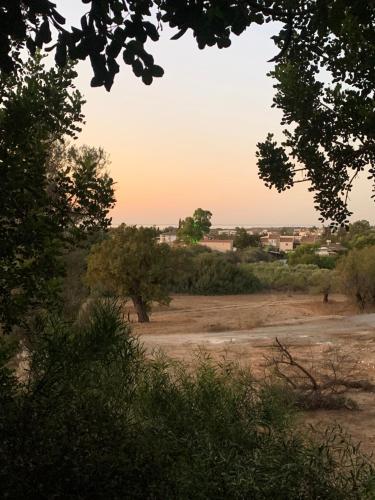 Paisaje cerca de este apartamento