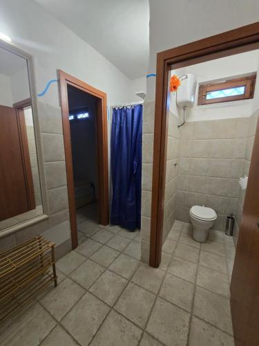 baño con aseo y cortina de ducha azul en Villa Rosanna, en Caianello