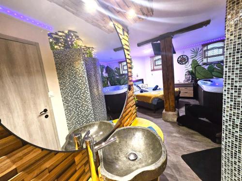 a bathroom with a sink in a room at Détente & spa in Bergheim