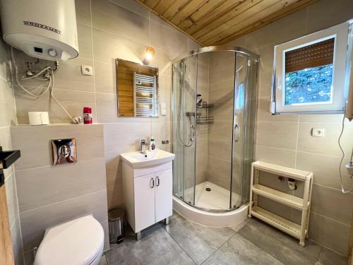 a bathroom with a shower and a toilet and a sink at Dom całoroczny in Kowal