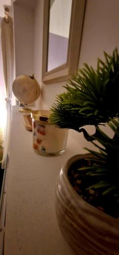 Taff Cottage - Free parking, Fast Wifi, Comfy Stay photo 33
