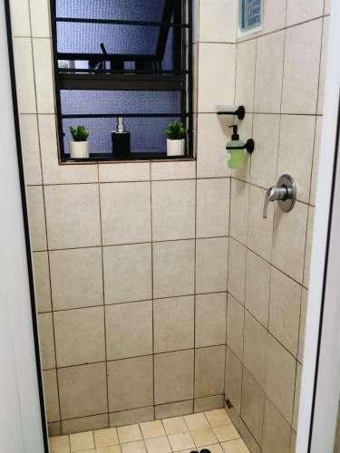 a bathroom with a shower with two potted plants at Express at Urban Cove in Nelspruit