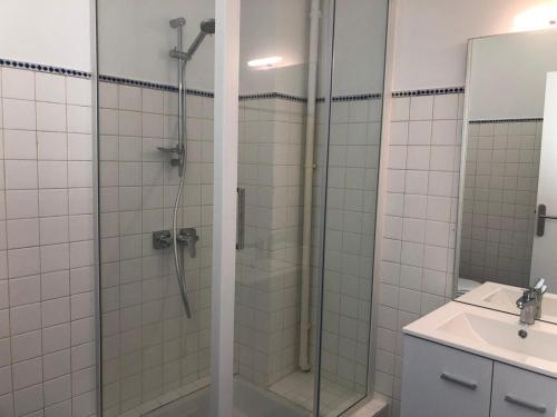 a bathroom with a shower and a sink at Bienvenue à L'Oustalet - Studio 3 in Cazaubon