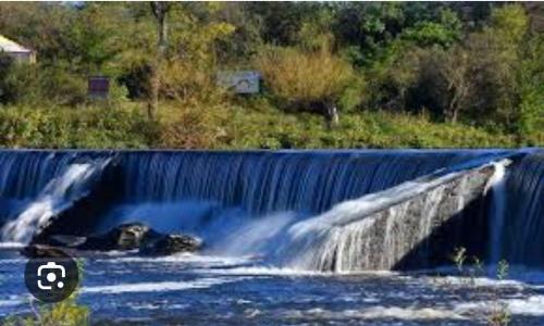 a bear laying in the water next to a waterfall at Departamentos Mariano in Cosquín