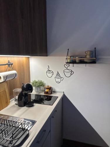 Кухня или мини-кухня в Riverside Apartmani Kopaonik
