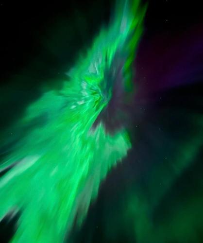 ein verzerrtes Bild eines Eisbären im Wasser in der Unterkunft Wonderful Seaview Apartment in Tromsø
