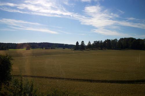 a large open field with trees in the background at Pensionat Hogården in Boxholm