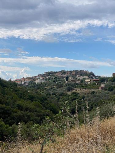 a town on top of a hill with trees at Hummingbird in Qeparo