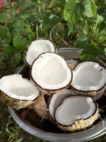 a group of coconuts sitting on a plate at Pousada Império do Sol in Pipa