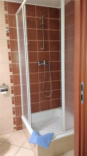 a shower with a glass door in a bathroom at Willa Marina Widzew in Łódź