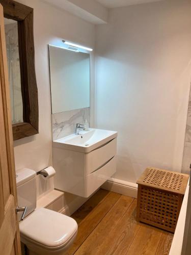 a bathroom with a sink and a toilet and a mirror at Spacious Garden Apartment in Cheltenham in Cheltenham