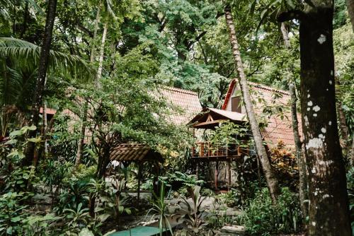 a house in the middle of a forest at Calala Lodge in Cabuya