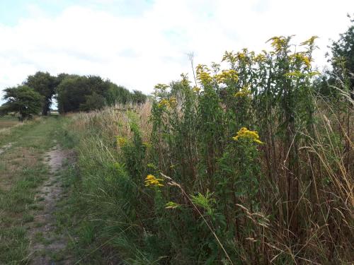 Gallery image of 4 person holiday home in Bredebro-By Traum in Bredebro