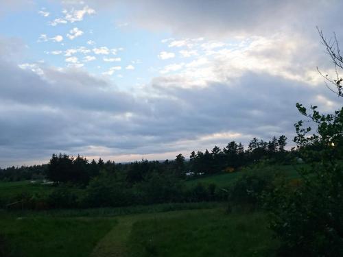 a green field with trees and a cloudy sky at 4 star holiday home in Brønderslev in Brønderslev