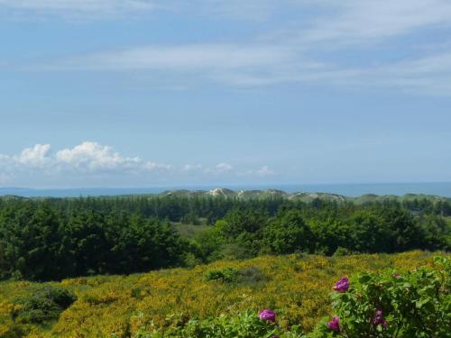 a view from the top of a hill with flowers at 4 star holiday home in Brønderslev in Brønderslev